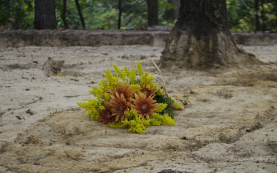 A bouquet of flowers marks an individual burial uncovered during the Slave Cemetery Survey.