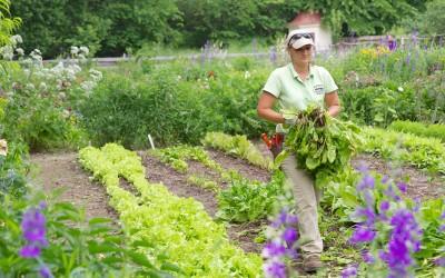Mount Vernon's Horticulture Staff